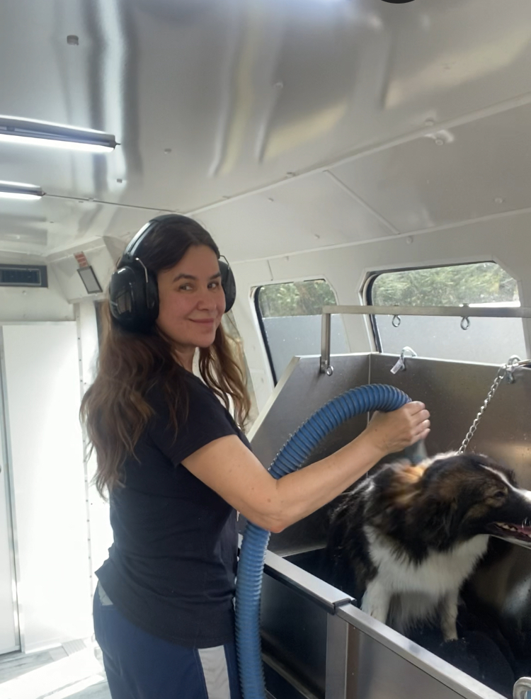 Express Mobile Pet Grooming van in Tennessee – groomer hand drying a dog after a bath, providing one-on-one mobile dog grooming services in Franklin, Bellevue, West Nashville, and surrounding Middle TN areas